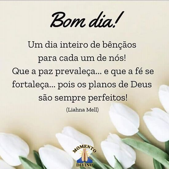 Os planos de Deus são sempre perfeitos bom dia os planos de Deus são sempre perfeitos