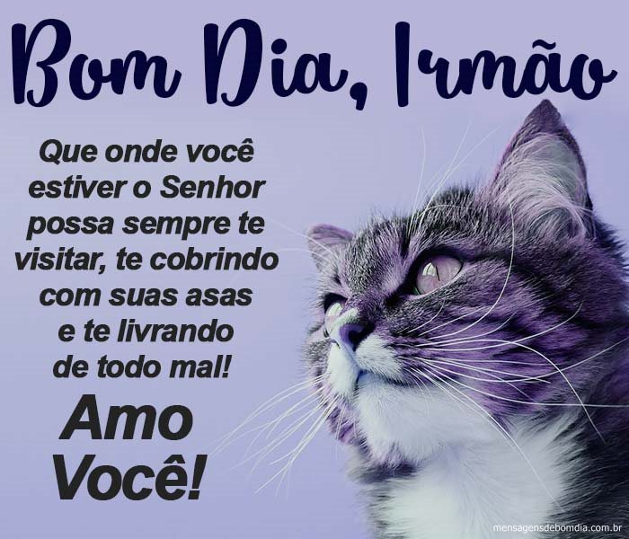 bom dia irmão que o Senhor te livre de todo mal
