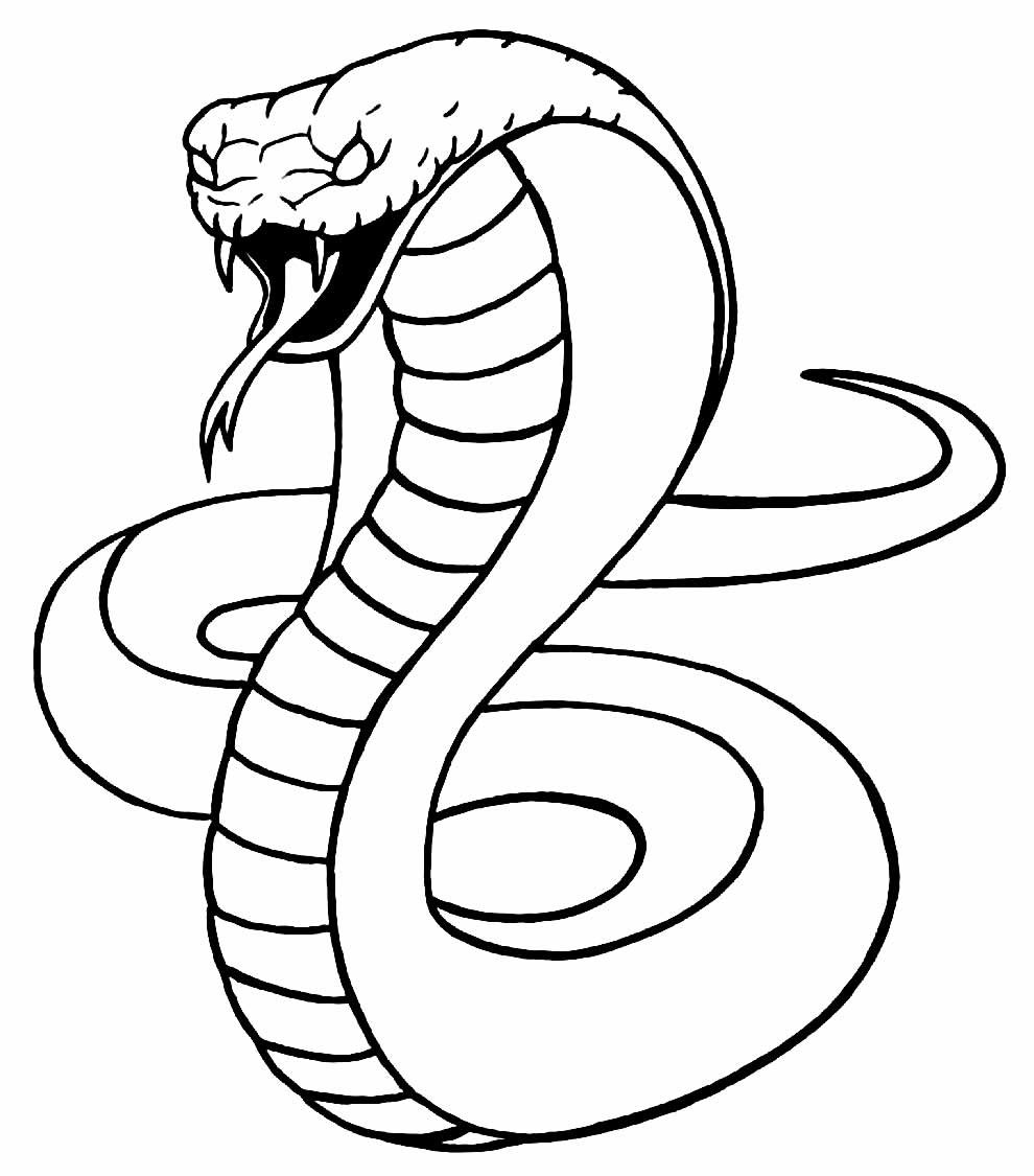 Desenhos para colorir – Cobra