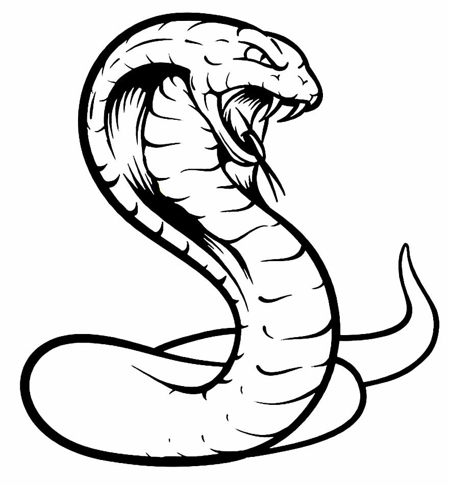 DESENHO COBRA NAJA, DESENHOS PARA COLORIR