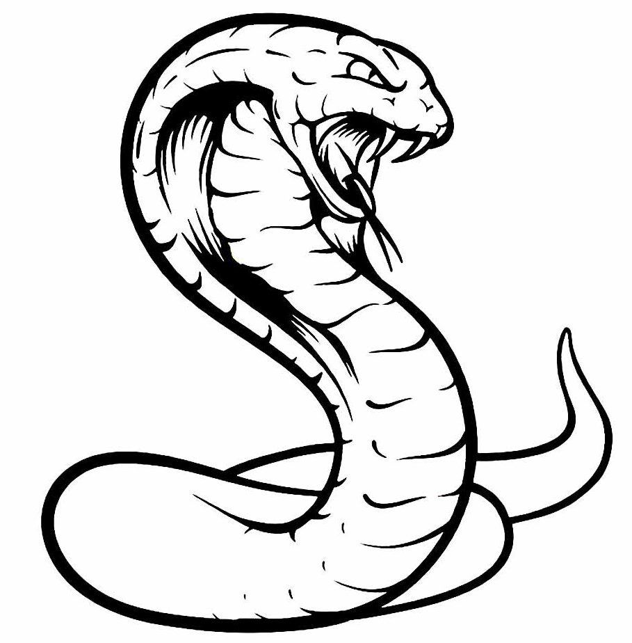 DESENHOS PARA PINTAR: Cobra.