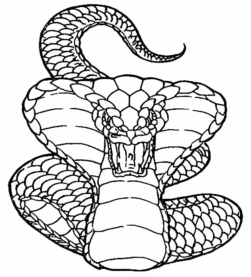 Desenhos de Cobra para Colorir e Imprimir