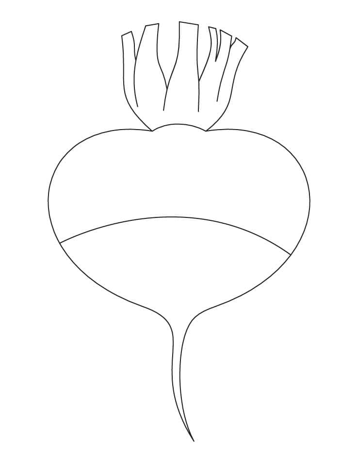 beterraba desenho fácil