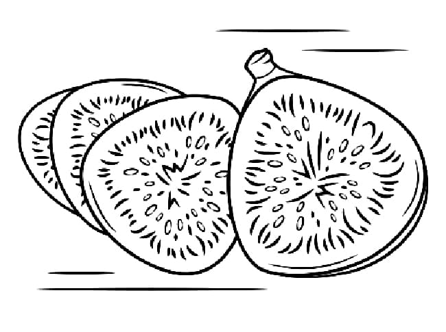 desenho de figo livro para colorir