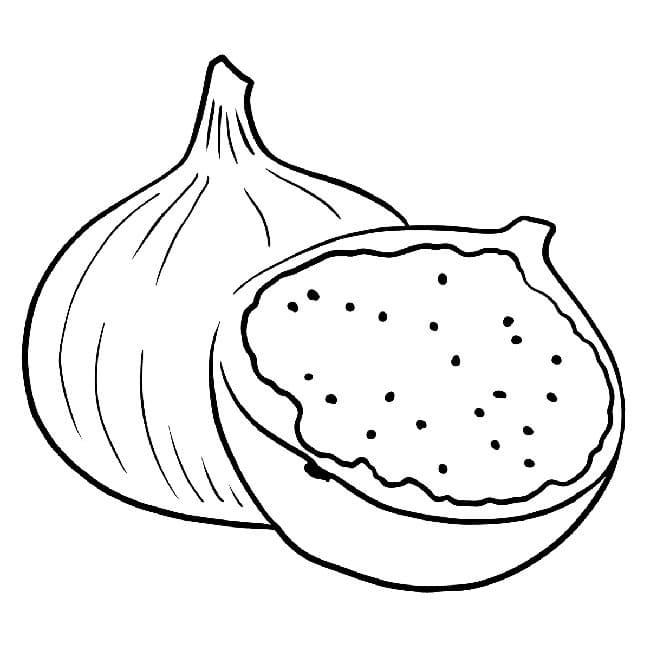 desenho de figo para colorir e imprimir