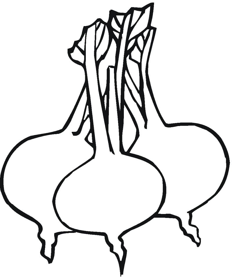 desenho de três beterrabas para colorir