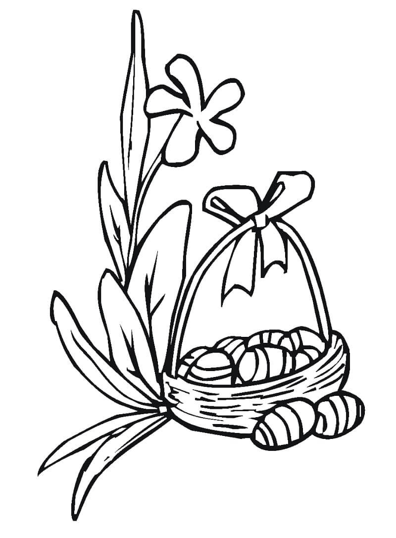desenho lírio do campo colorir