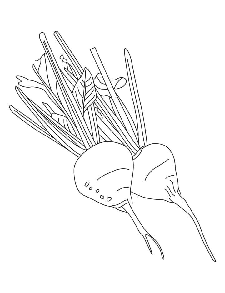 desenhos de beterraba vegetais para colorir