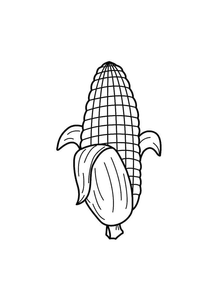 desenho de espiga de milho para colorir