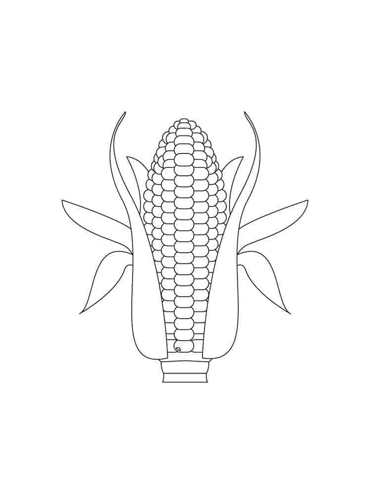 desenho de milho perfeito para colorir