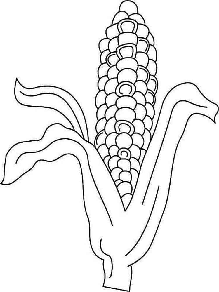 desenho de milho para colorir e pintar