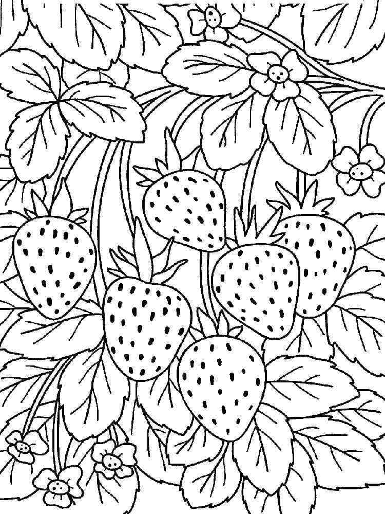 desenho de morangos frescos para colorir
