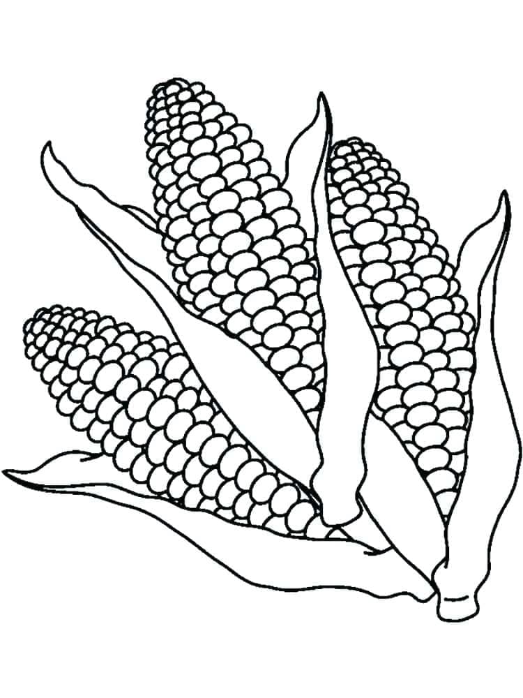 desenho de três milhos para colorir