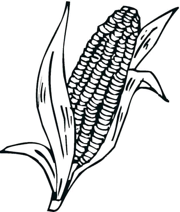 desenho para pintar de milho para colorir