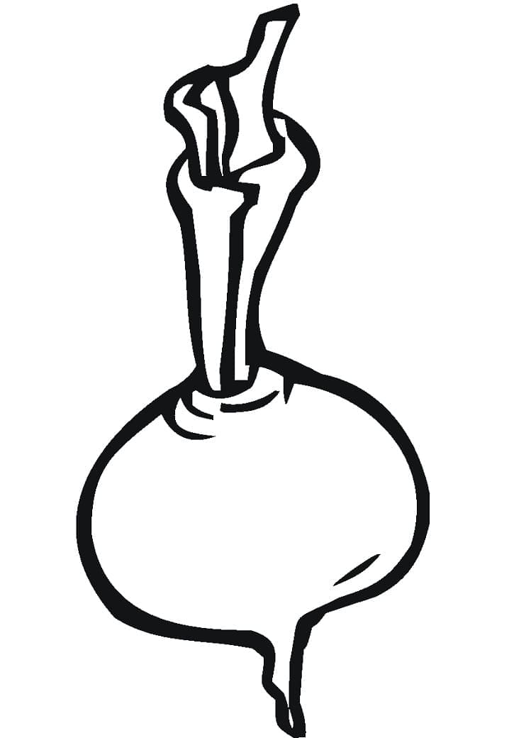 desenho de nabo fácil de colorir