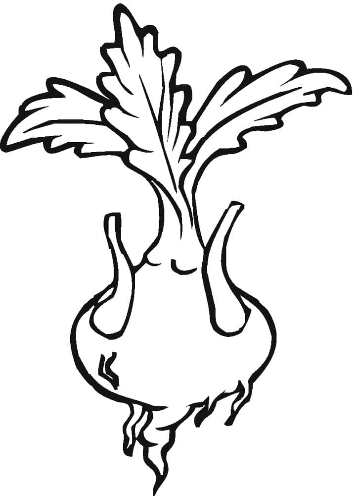 desenho de nabo infantil para colorir
