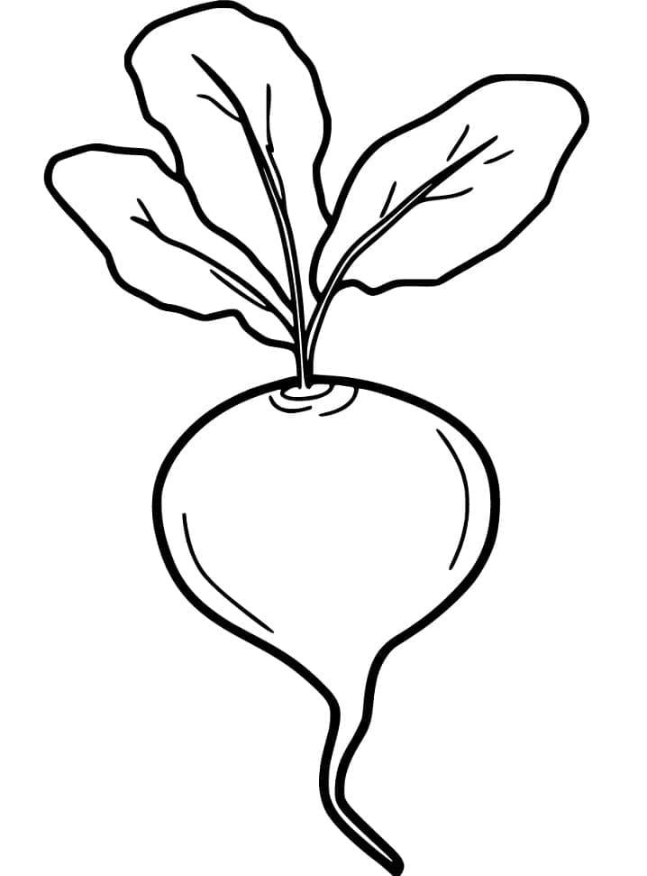 desenho de nabo para colorir e imprimir
