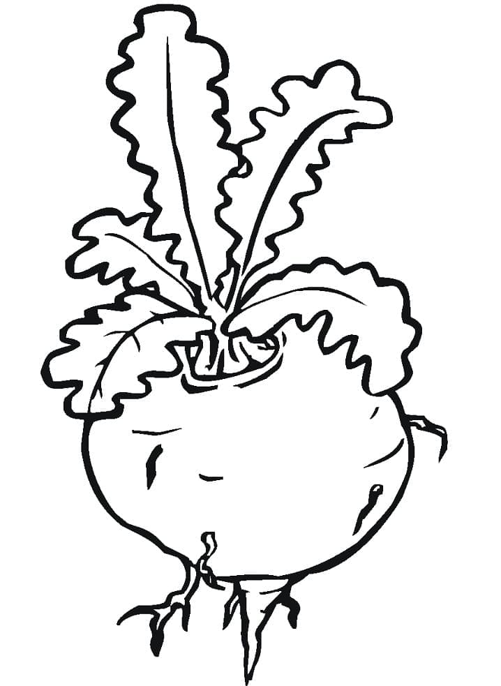 desenho de nabo simples para crianças pintarem