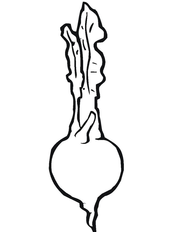 página de nabo para colorir