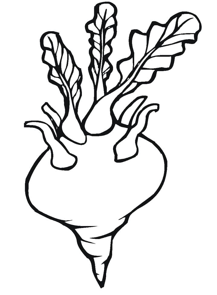 pintar nabo