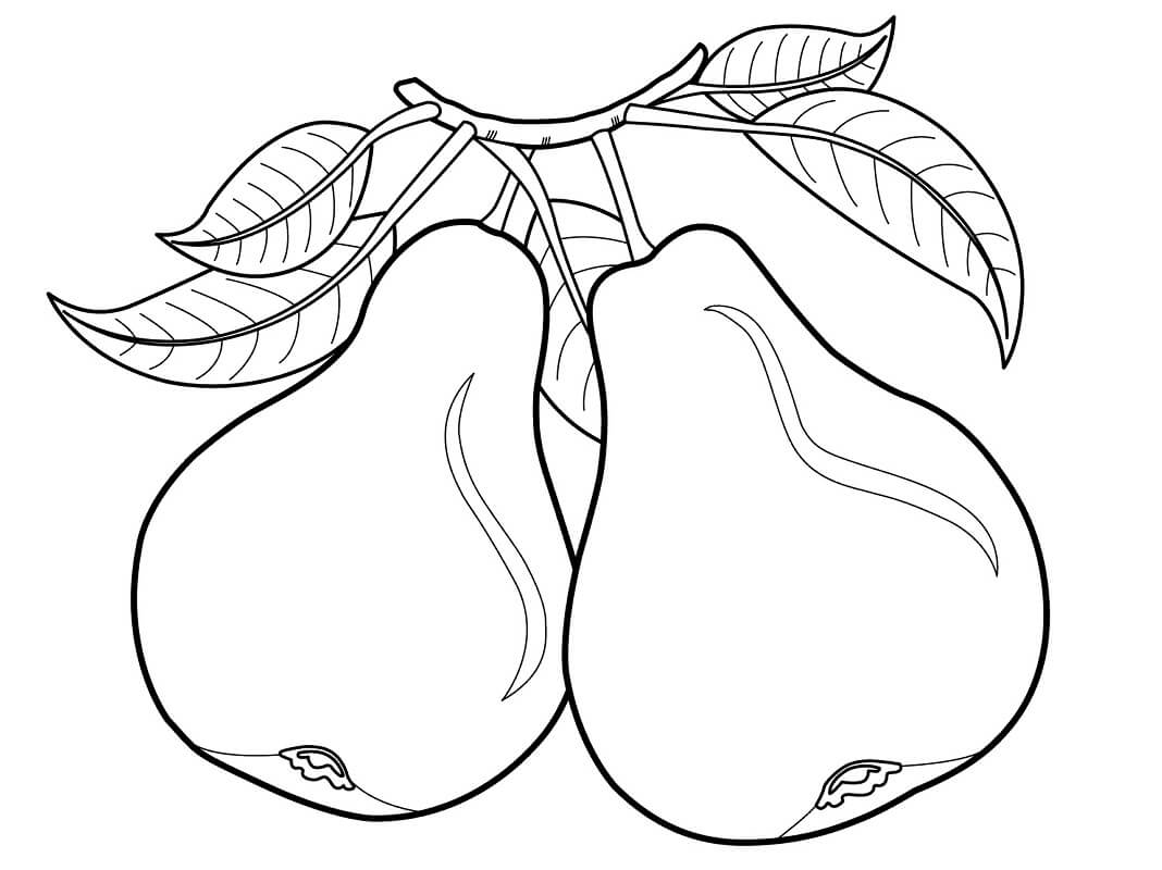 ilustração de duas fruta pera para imprimir e pintar