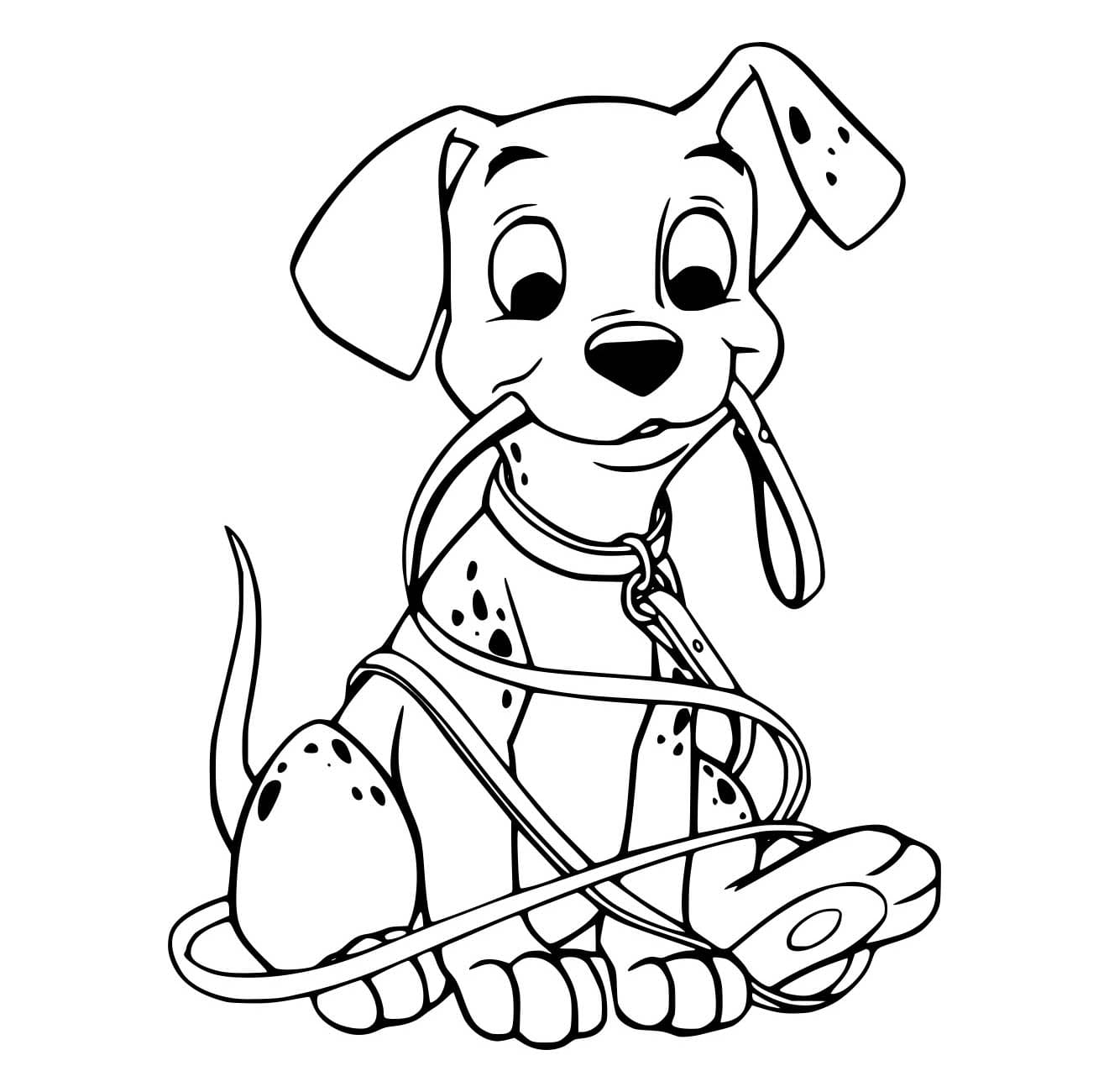 Desenho de Dálmata com uma Corda para Colorir