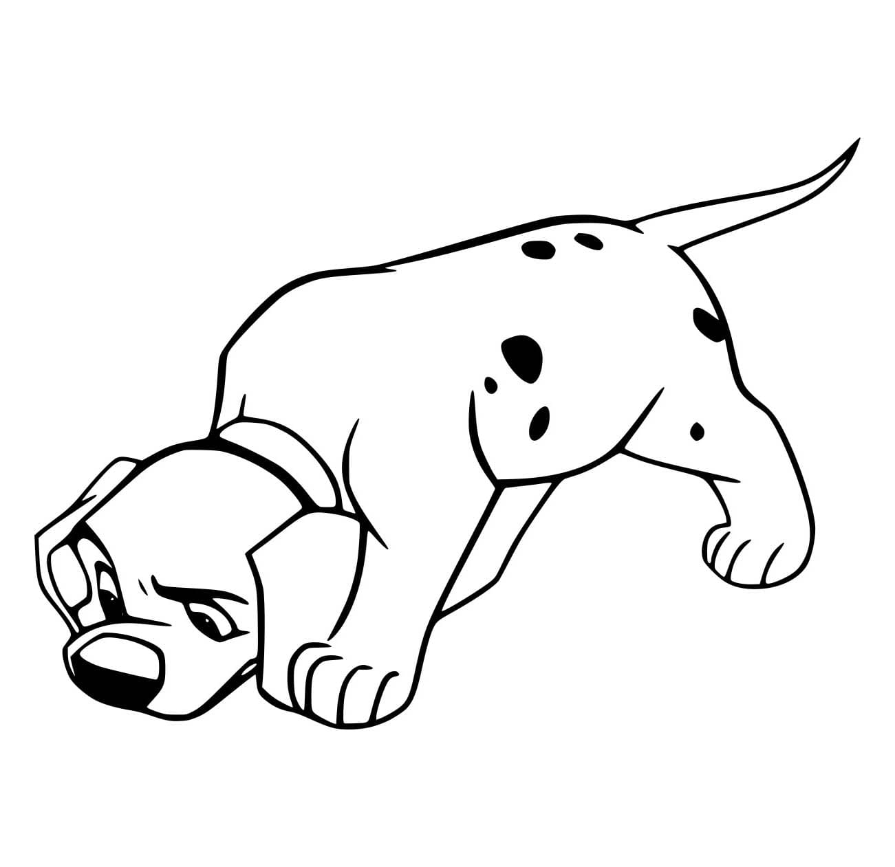 Desenho de Dálmata Farejando para Colorir