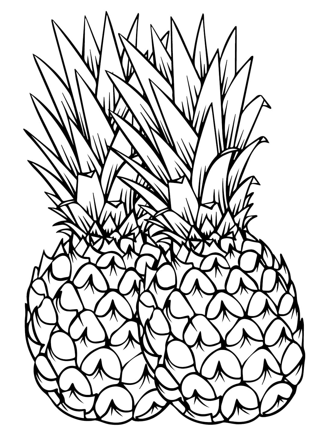 Desenho de Dois Abacaxis para Colorir