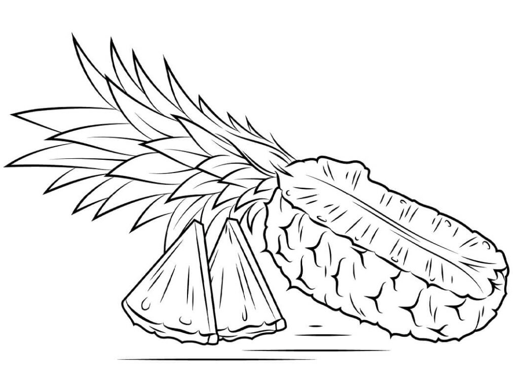 Desenho Fruta Abacaxi Cortado em Fatias para Colorir