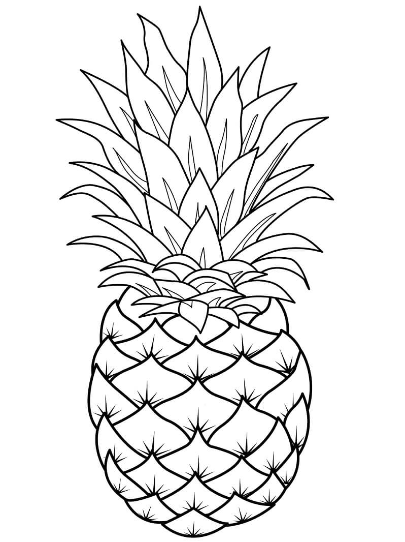 Desenho Fruta Abacaxi para Colorir 1