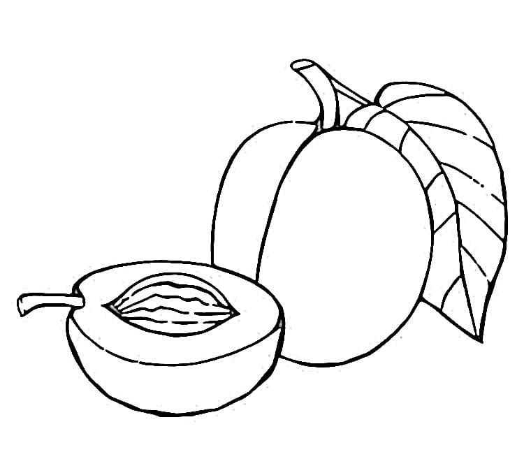Desenho de Ameixa Grátis para Colorir