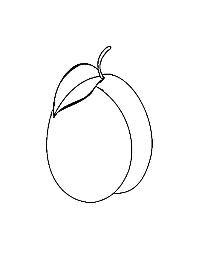 Desenho de Ameixa Normal para Colorir