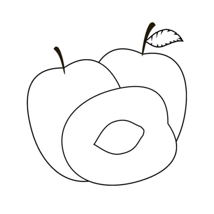 Desenho de Ameixas Fáceis para Colorir
