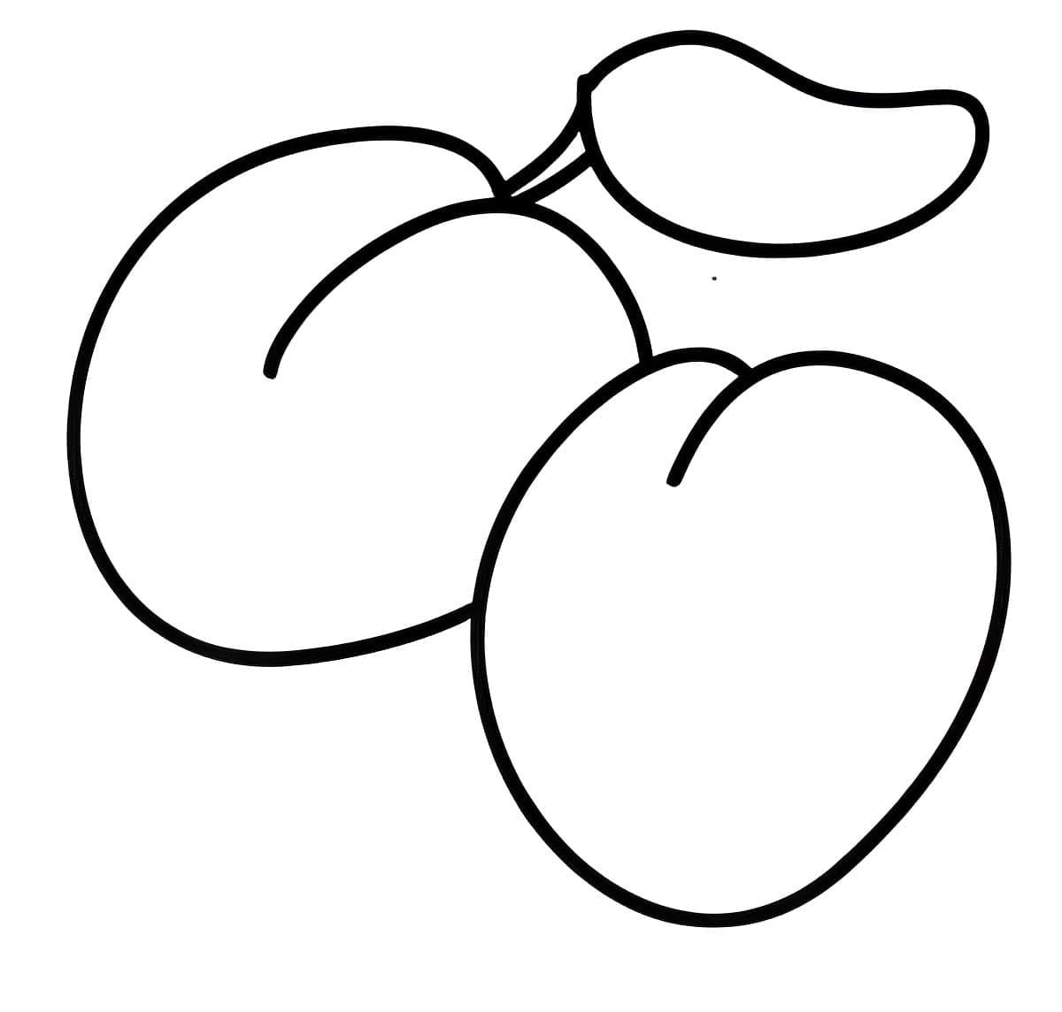 Desenho de Ameixas Simples para Colorir