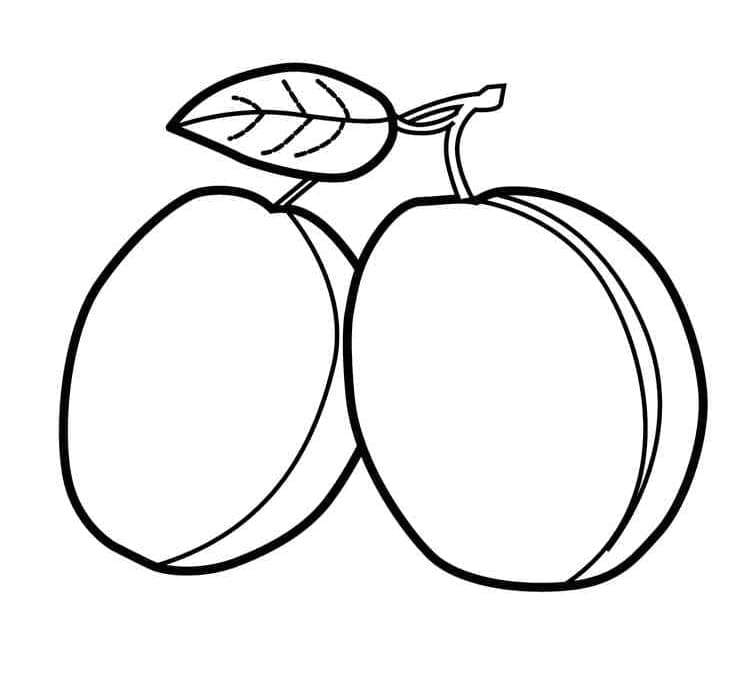 Desenho de Duas Ameixas para Colorir