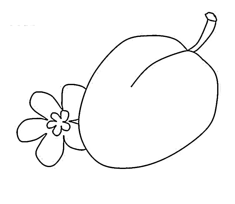 Desenho de uma Ameixa para Colorir
