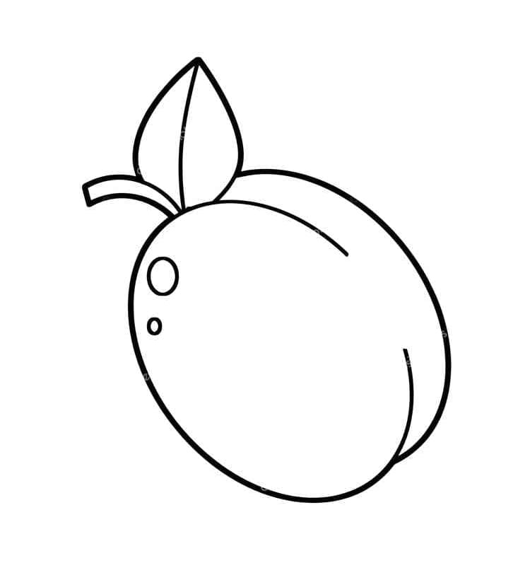 Desenho de uma Fruta Ameixa para Colorir