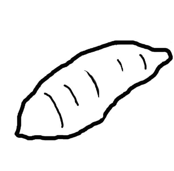 Desenho de Batata Doce Fácil para Colorir