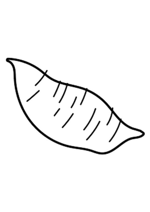 Desenho de Batata Doce Grátis para Colorir