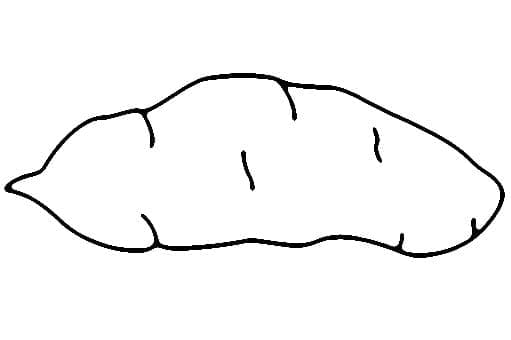 Desenho de Batata Doce Simples para Colorir