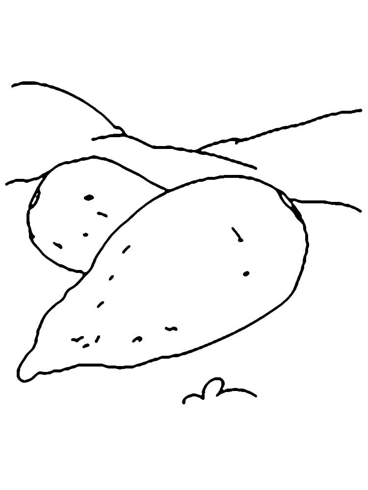 Desenho de Batatas Doces para Colorir