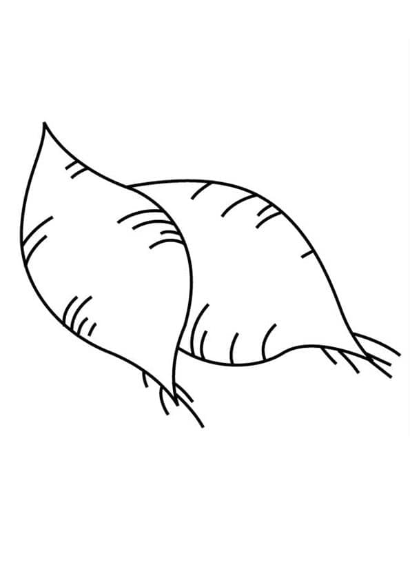 Desenho de Duas Batatas Doces para Colorir