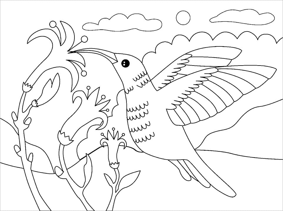 Desenho de Beijá Flor Fofo para Imprimir Grátis Download