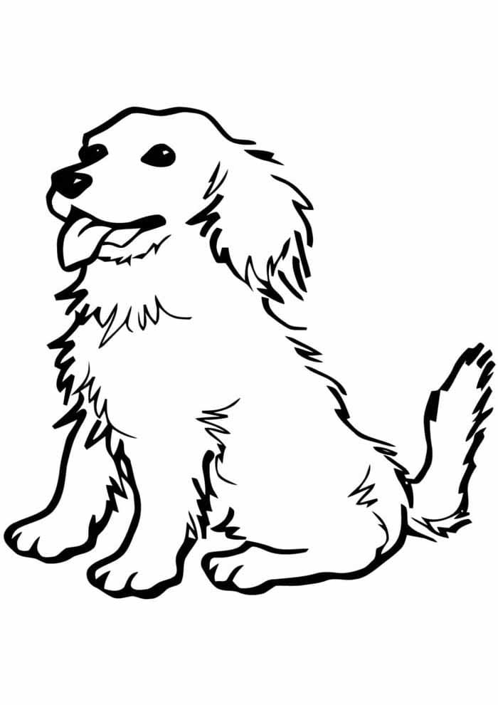 Desenho de Bom Cachorro para Colorir