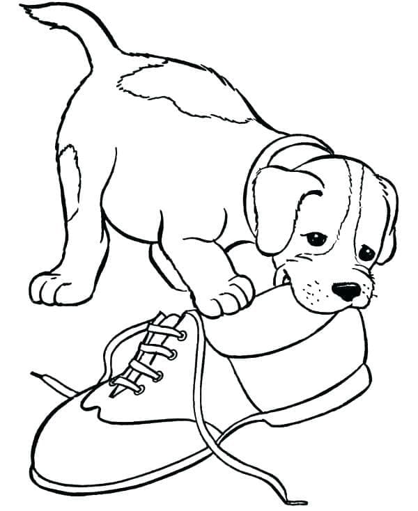 Desenho de Cachorro Beagle e um Sapato para Colorir