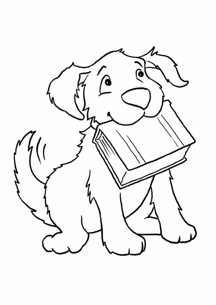Desenho de Cachorro com Livro para Colorir
