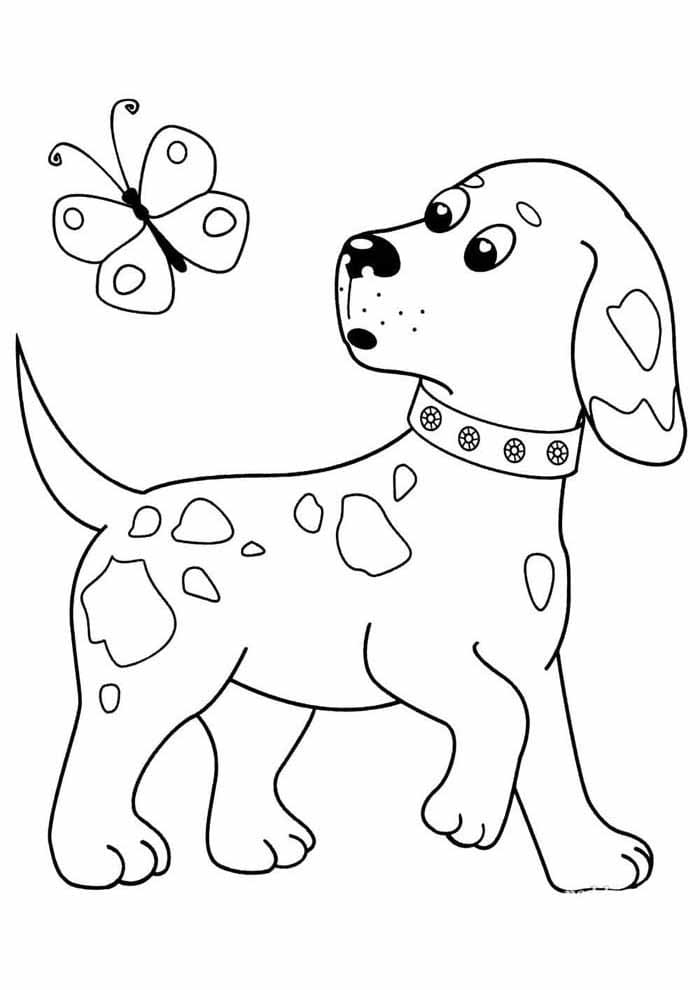 Desenho de Cachorro e Borboleta para Colorir