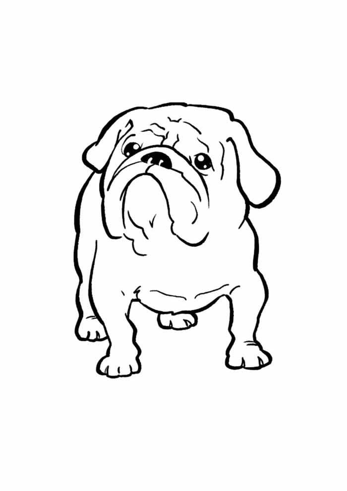 Desenho de Cachorro Fofo para Colorir