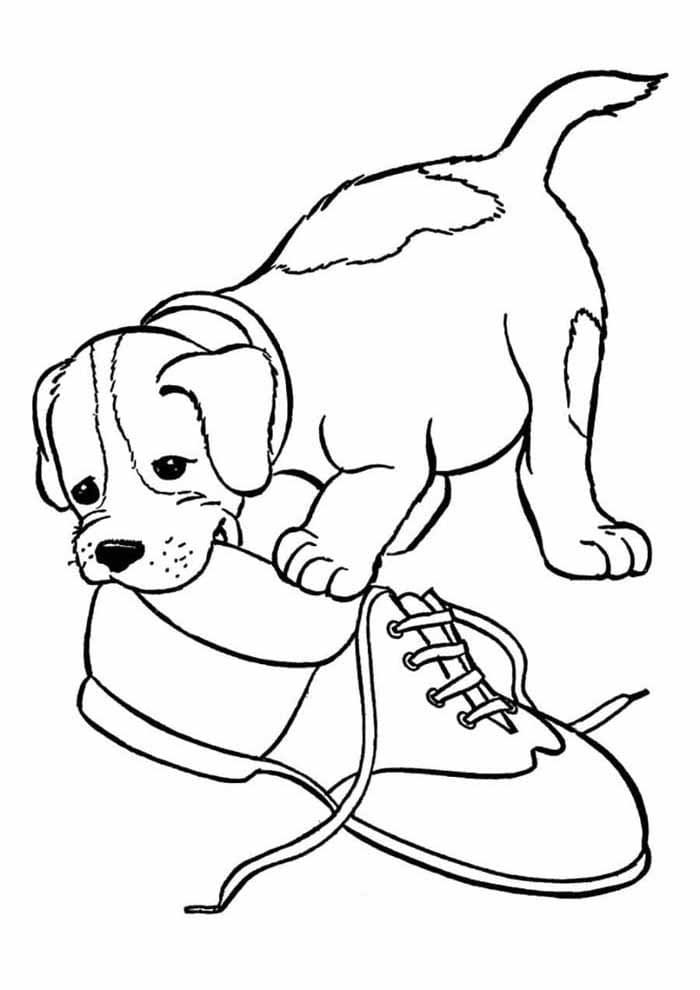 Desenho de Cachorro Mastigá Sapato para Colorir