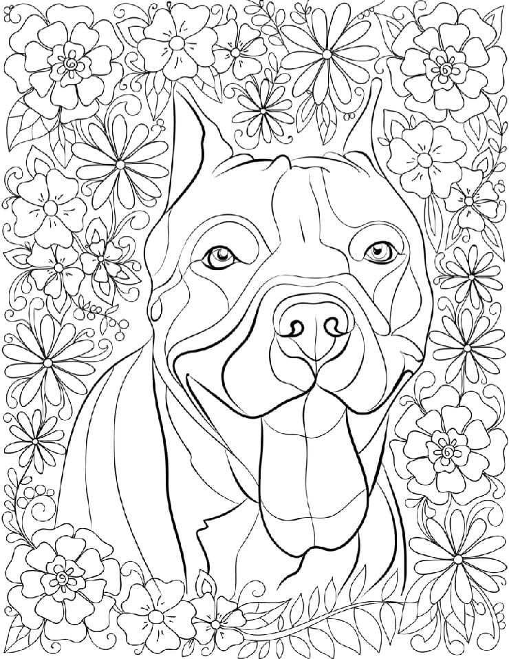 Desenho de Cachorro Pitbull Feliz para Colorir
